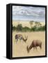 Kenya 2-Ben Heine-Framed Stretched Canvas