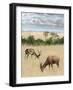 Kenya 2-Ben Heine-Framed Giclee Print