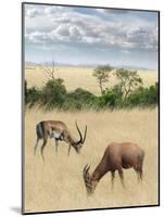 Kenya 2-Ben Heine-Mounted Giclee Print