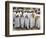 Kenya; a Joyful Muslim Procession During Maulidi, the Celebration of Prophet Mohammed's Birthday-Nigel Pavitt-Framed Photographic Print