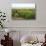 Kenya, Amboseli National Park, 2 Female Ostrich-Thibault Van Stratum-Photographic Print displayed on a wall