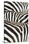 Kenya, Amboseli National Park, Close Up on Zebra Stripes-Anthony Asael-Stretched Canvas