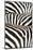 Kenya, Amboseli National Park, Close Up on Zebra Stripes-Anthony Asael-Mounted Photographic Print