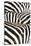 Kenya, Amboseli National Park, Close Up on Zebra Stripes-Anthony Asael-Stretched Canvas