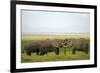 Kenya, Amboseli National Park, Elephant Kissing-Anthony Asael-Framed Photographic Print