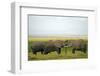 Kenya, Amboseli National Park, Elephant Kissing-Anthony Asael-Framed Photographic Print