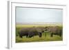 Kenya, Amboseli National Park, Elephant Kissing-Anthony Asael-Framed Photographic Print