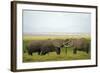 Kenya, Amboseli National Park, Elephant Kissing-Anthony Asael-Framed Photographic Print