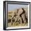 Kenya, Amboseli National Park, Elephant (Loxodanta Africana)-Alison Jones-Framed Premium Photographic Print