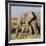 Kenya, Amboseli National Park, Elephant (Loxodanta Africana)-Alison Jones-Framed Photographic Print