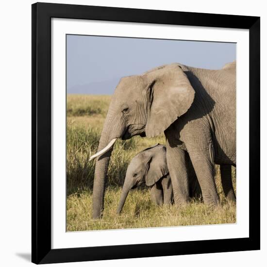Kenya, Amboseli National Park, Elephant (Loxodanta Africana)-Alison Jones-Framed Photographic Print