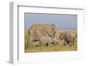 Kenya, Amboseli National Park, Elephant (Loxodanta Africana)-Alison Jones-Framed Photographic Print