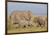 Kenya, Amboseli National Park, Elephant (Loxodanta Africana)-Alison Jones-Framed Photographic Print