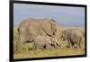 Kenya, Amboseli National Park, Elephant (Loxodanta Africana)-Alison Jones-Framed Photographic Print