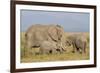 Kenya, Amboseli National Park, Elephant (Loxodanta Africana)-Alison Jones-Framed Photographic Print