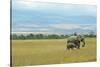 Kenya, Amboseli National Park, Elephants in Family in Front of Clouded Kilimanjaro-Thibault Van Stratum-Stretched Canvas