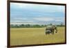 Kenya, Amboseli National Park, Elephants in Family in Front of Clouded Kilimanjaro-Thibault Van Stratum-Framed Photographic Print