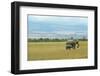 Kenya, Amboseli National Park, Elephants in Family in Front of Clouded Kilimanjaro-Thibault Van Stratum-Framed Photographic Print