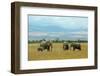 Kenya, Amboseli National Park, Elephants in Family in Front of Clouded Kilimanjaro-Thibault Van Stratum/Art in All of Us-Framed Photographic Print