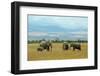 Kenya, Amboseli National Park, Elephants in Family in Front of Clouded Kilimanjaro-Thibault Van Stratum/Art in All of Us-Framed Photographic Print