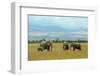 Kenya, Amboseli National Park, Elephants in Family in Front of Clouded Kilimanjaro-Thibault Van Stratum/Art in All of Us-Framed Photographic Print