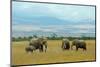 Kenya, Amboseli National Park, Elephants in Family in Front of Clouded Kilimanjaro-Thibault Van Stratum/Art in All of Us-Mounted Photographic Print