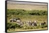 Kenya, Amboseli National Park, Group of Zebras-Anthony Asael-Framed Stretched Canvas