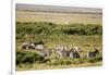 Kenya, Amboseli National Park, Group of Zebras-Anthony Asael-Framed Photographic Print