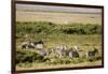 Kenya, Amboseli National Park, Group of Zebras-Anthony Asael-Framed Photographic Print