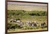 Kenya, Amboseli National Park, Group of Zebras-Anthony Asael-Framed Photographic Print