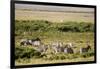 Kenya, Amboseli National Park, Group of Zebras-Anthony Asael-Framed Photographic Print