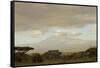 Kenya, Amboseli National Park, Kilimanjaro Mountain at Sunrise-Anthony Asael-Framed Stretched Canvas