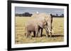 Kenya, Amboseli National Park, Mother Elephant with Young-Kent Foster-Framed Photographic Print