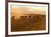 Kenya, Amboseli National Park, Wildebeest Running at Sunset-Anthony Asael-Framed Photographic Print