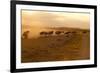 Kenya, Amboseli National Park, Wildebeest Running at Sunset-Anthony Asael-Framed Photographic Print