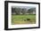 Kenya, Amboseli NP, Elephant Mother Playing with Dust with Calf-Anthony Asael-Framed Photographic Print