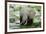 Kenya, Amboseli NP, Elephants in Wet Grassland in Cloudy Weather-Anthony Asael-Framed Photographic Print