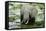 Kenya, Amboseli NP, Elephants in Wet Grassland in Cloudy Weather-Anthony Asael-Framed Stretched Canvas