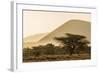 Kenya, Chyulu Hills, Old Donyo Wuas Lodge, Mbirikani, Sunrise-Alison Jones-Framed Photographic Print