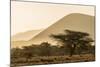 Kenya, Chyulu Hills, Old Donyo Wuas Lodge, Mbirikani, Sunrise-Alison Jones-Mounted Photographic Print