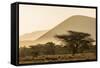 Kenya, Chyulu Hills, Old Donyo Wuas Lodge, Mbirikani, Sunrise-Alison Jones-Framed Stretched Canvas