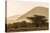 Kenya, Chyulu Hills, Old Donyo Wuas Lodge, Mbirikani, Sunrise-Alison Jones-Stretched Canvas