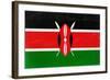 Kenya Flag Design with Wood Patterning - Flags of the World Series-Philippe Hugonnard-Framed Art Print