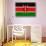 Kenya Flag Design with Wood Patterning - Flags of the World Series-Philippe Hugonnard-Stretched Canvas displayed on a wall