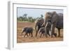 Kenya, Kajiado County, Amboseli National Park. a Family of African Elephants on the Move.-Nigel Pavitt-Framed Photographic Print