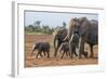 Kenya, Kajiado County, Amboseli National Park. a Family of African Elephants on the Move.-Nigel Pavitt-Framed Photographic Print