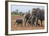 Kenya, Kajiado County, Amboseli National Park. a Family of African Elephants on the Move.-Nigel Pavitt-Framed Photographic Print