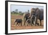 Kenya, Kajiado County, Amboseli National Park. a Family of African Elephants on the Move.-Nigel Pavitt-Framed Photographic Print