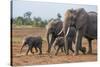 Kenya, Kajiado County, Amboseli National Park. a Family of African Elephants on the Move.-Nigel Pavitt-Stretched Canvas