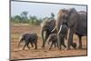Kenya, Kajiado County, Amboseli National Park. a Family of African Elephants on the Move.-Nigel Pavitt-Mounted Premium Photographic Print